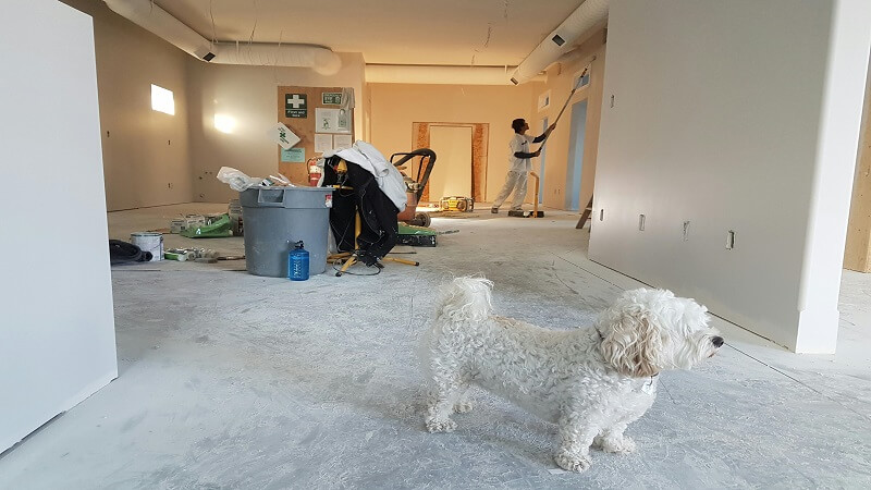 Why Strategic Home Upgrades Are Worth the Investment