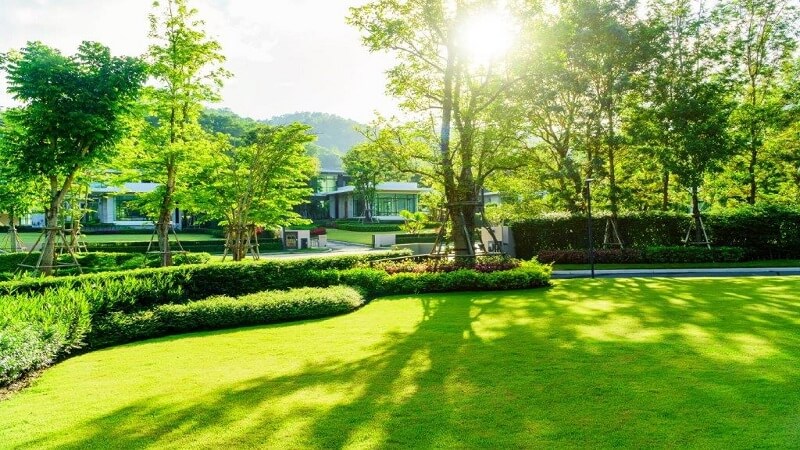 Transform Your Outdoor Space with Premium Buffalo Grass in Sydney