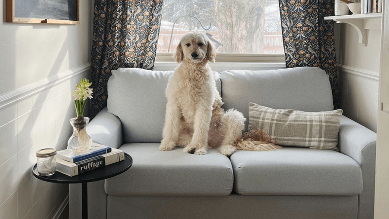 4 Practical Sofa Tips for Small Homes