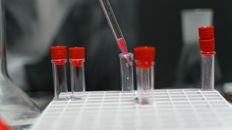 12 Panel Drug Test