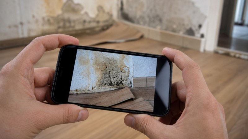 water damage restoration